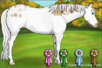 Horse Color:White Spotted Silver Smoky Grullo Splash Blanket Rabicano 
