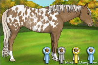 Horse Color:Silver Smoky Black Appaloosa Rabicano 