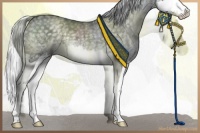 Horse Color:Silver Black Chinchilla Ice Splash 