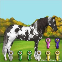 Horse Color:White Spotted Liver Chestnut 