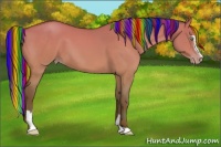 Horse Color:Painted Sable Champagne Dun Sabino 
