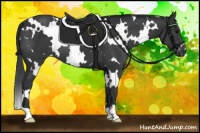 Horse Color:White Spotted Black 