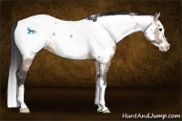 Horse Color:White Spotted Bay Dun Splash Near Fewspot 