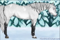 Horse Color:White Spotted Silver Bay Chinchilla Dun 