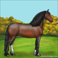 Horse Color:Brown 