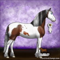 Horse Color:Bay Splash Tobiano 