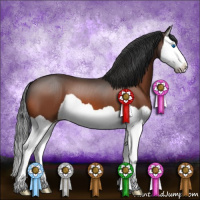 Horse Color:Brown Splash
