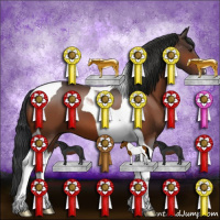 Horse Color:Brown Tobiano