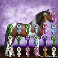 Horse Color:Bay Tobiano 