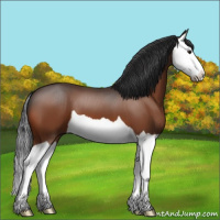 Horse Color:Brown Splash 