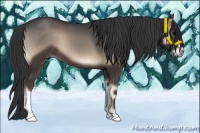 Horse Color:Blue Onyx