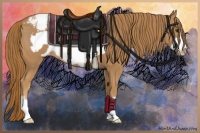 Horse Color:Chestnut Frame Appaloosa 