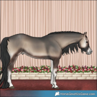 Horse Color:Blue Onyx 