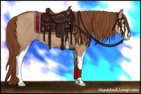 Horse Color:Red Dun Sabino