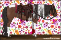 Horse Color:Bay Tobiano 