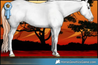 Horse Color:Bay Dun Tobiano Snowcap 