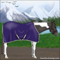 Horse Color:Smoky Black Tobiano Appaloosa