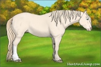 Horse Color:Perlino 