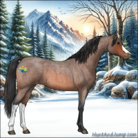 Horse Color:Bay Roan Varnish 