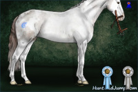 Horse Color:White Spotted Liver Chestnut Sabino Splash 