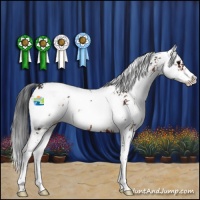 Horse Color:Brown Sabino