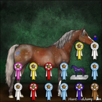 Horse Color:Silver Brown 