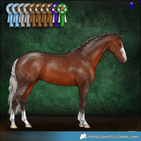 Horse Color:Silver Brown 