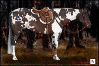 Horse Color:White Spotted Brown Mushroom 