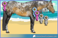 Horse Color:Buckskin Tobiano Rabicano