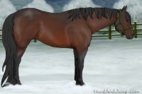 Horse Color:Brown 