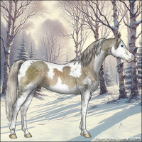 Horse Color:Chocolate Palomino Mushroom Splash Tobiano 