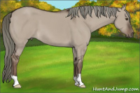 Horse Color:Liver Red Dun Mushroom 