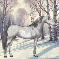 Horse Color:Platinum White Spotted Chocolate Palomino Dun 