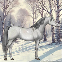 Horse Color:Platinum White Spotted Chocolate Palomino Roan Dun Rabicano 