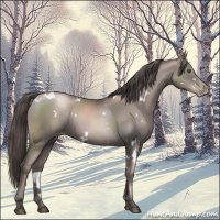 Horse Color:Gray Platinum White Spotted Liver Chestnut Pearl Rabicano 
