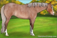 Horse Color:Silver Bay Roan Sabino 