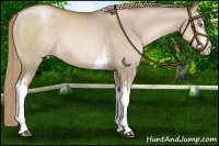 Horse Color:White Spotted Liver Red Dun Pearl