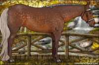 Horse Color:Chocolate Silver Buckskin Sabino 