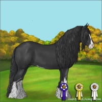 Horse Color:Black Sabino 