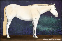 Horse Color:Buckskin Pearl Onyx Rabicano 