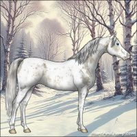 Horse Color:White Spotted Chocolate Palomino Mushroom Splash Tobiano 