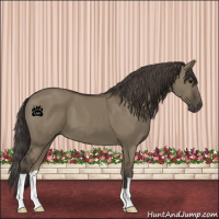 Horse Color:Smoky Grullo