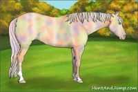 Horse Color:Nacre Silver Amber Cream Champagne Dun Sabino 