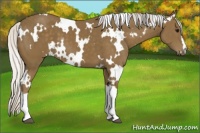 Horse Color:White Spotted Silver Smoky Black 