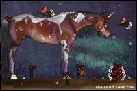 Horse Color:White Spotted Brown Tobiano 