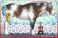 Horse Color:White Spotted Liver Chestnut Mushroom Sabino 