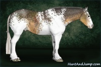 Horse Color:White Spotted Silver Smoky Black