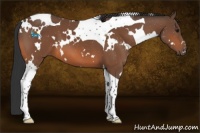 Horse Color:White Spotted Bay Tobiano 