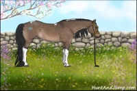 Horse Color:Brown Dun Tobiano 