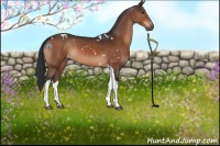 Horse Color:White Spotted Brown Tobiano 